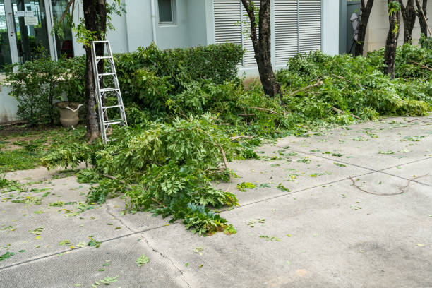  Northfield, MN Tree Services Pros